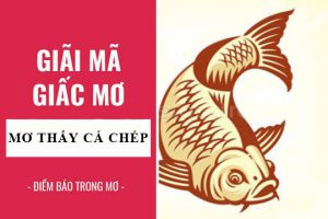 Mơ thấy cá chép đánh số gì